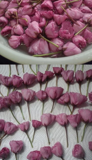 ファイル 933-2.jpg