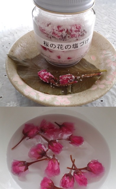 ファイル 933-3.jpg