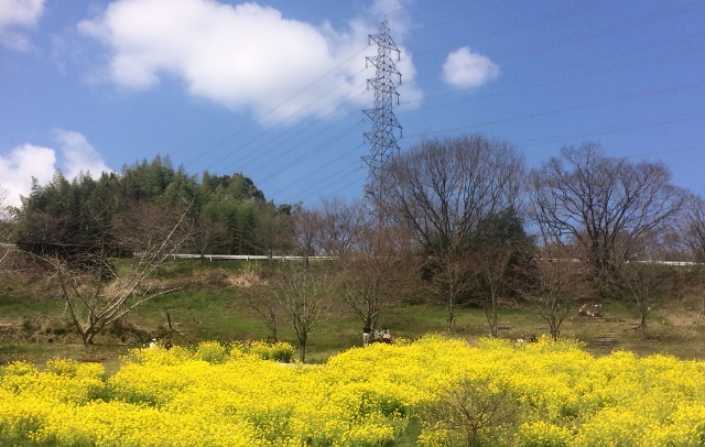 ファイル 934-2.jpg