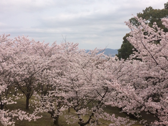 ファイル 934-3.jpg