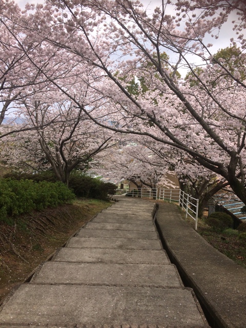 ファイル 934-4.jpg