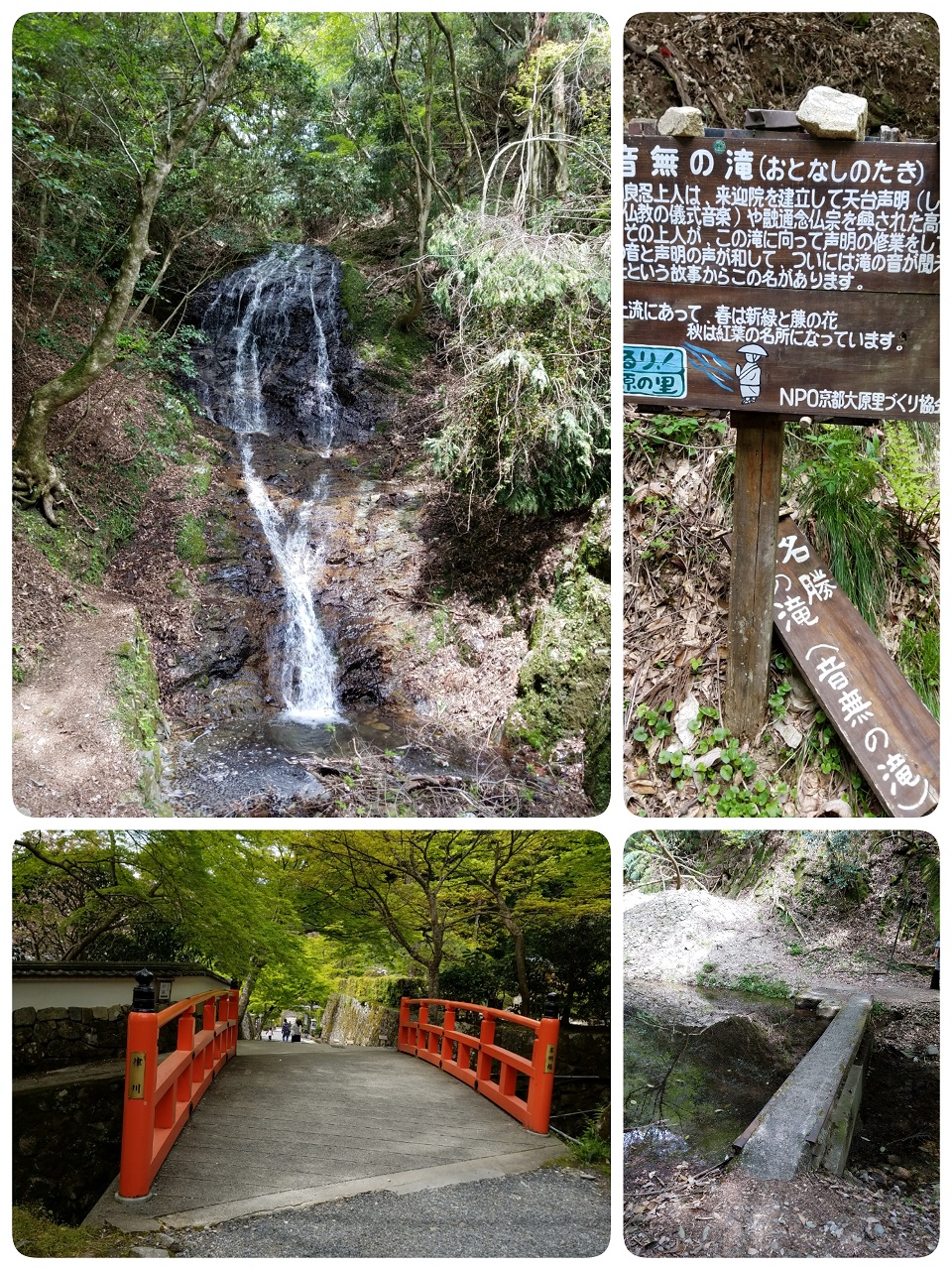 ファイル 945-1.jpg