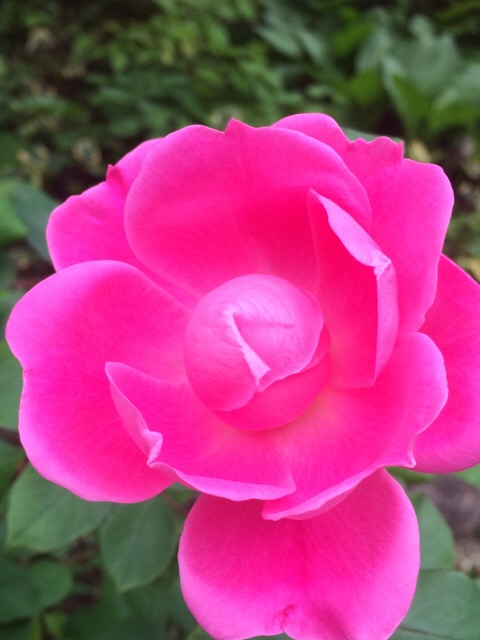 ファイル 947-1.jpg