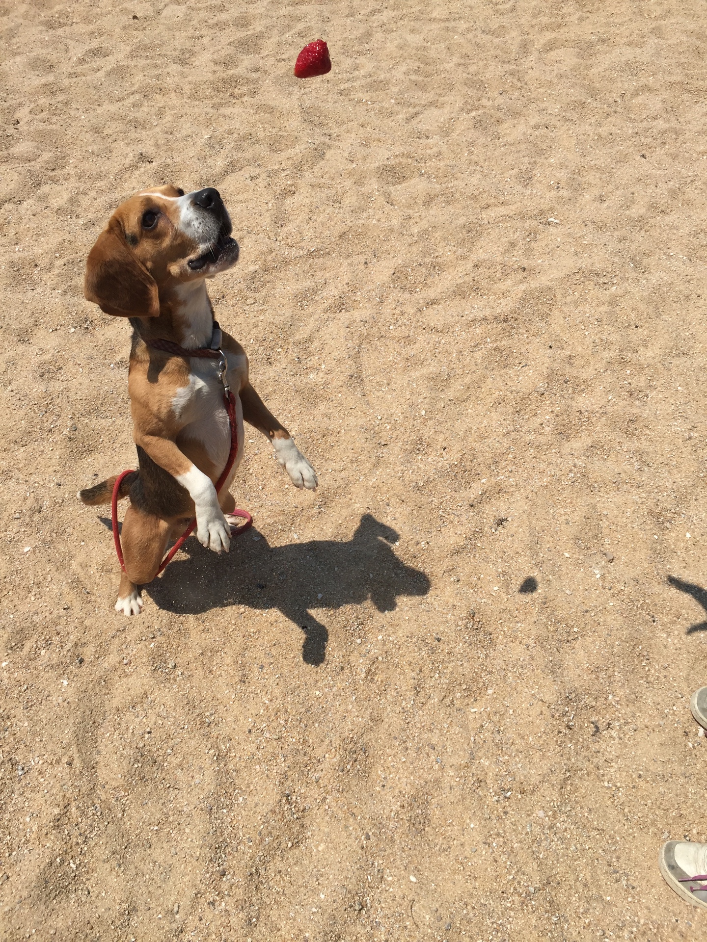 ファイル 949-1.jpg