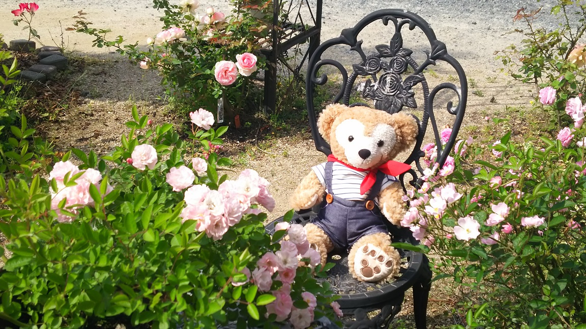 ファイル 950-1.jpg