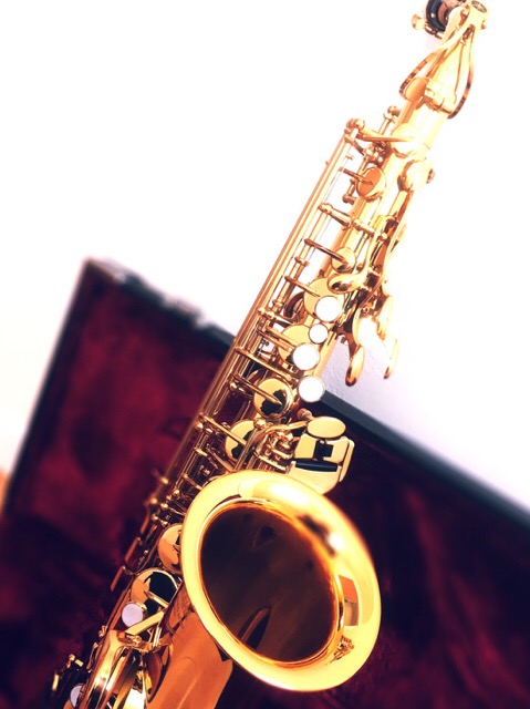 ファイル 955-1.jpg