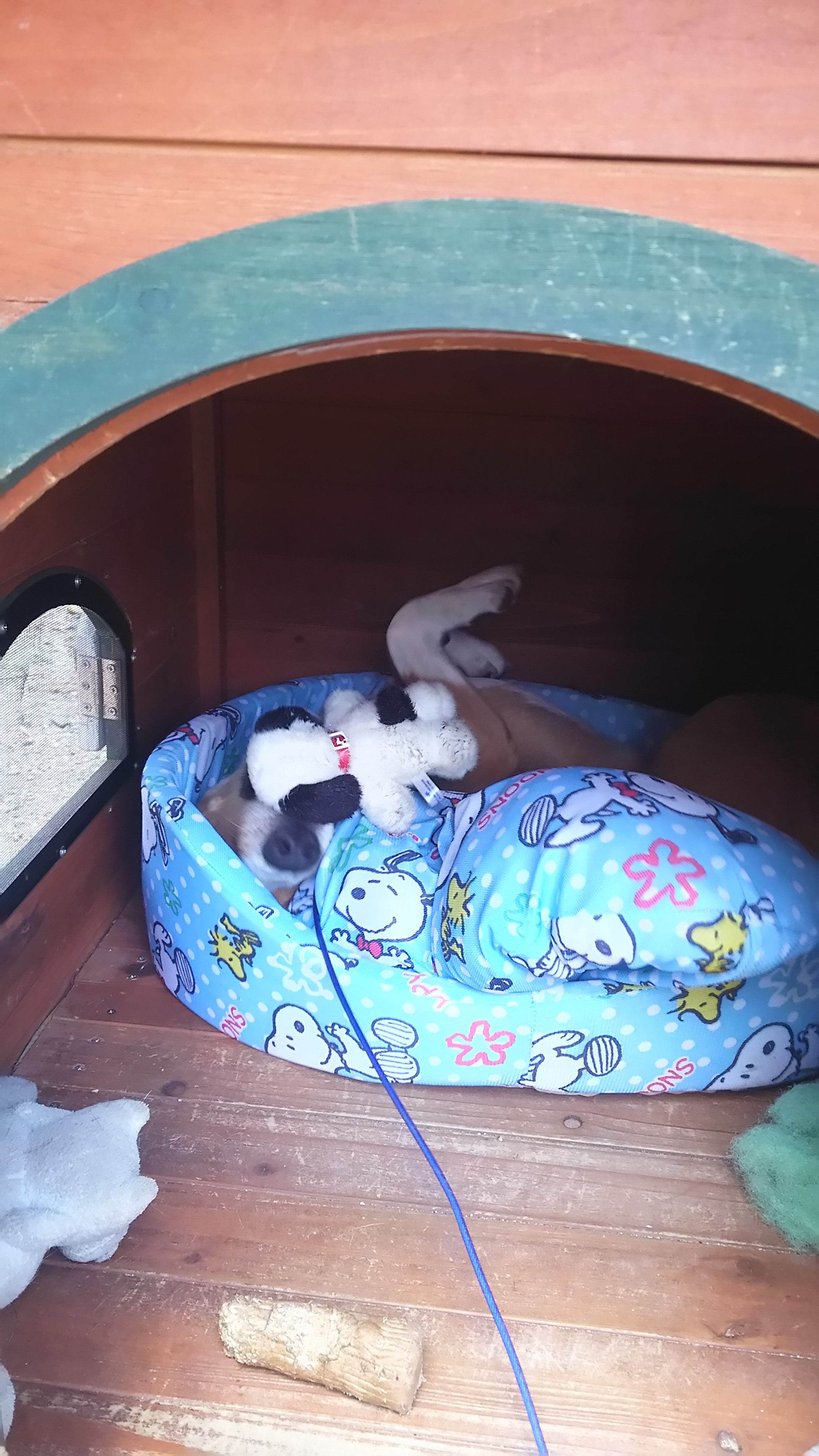 ファイル 970-2.jpg