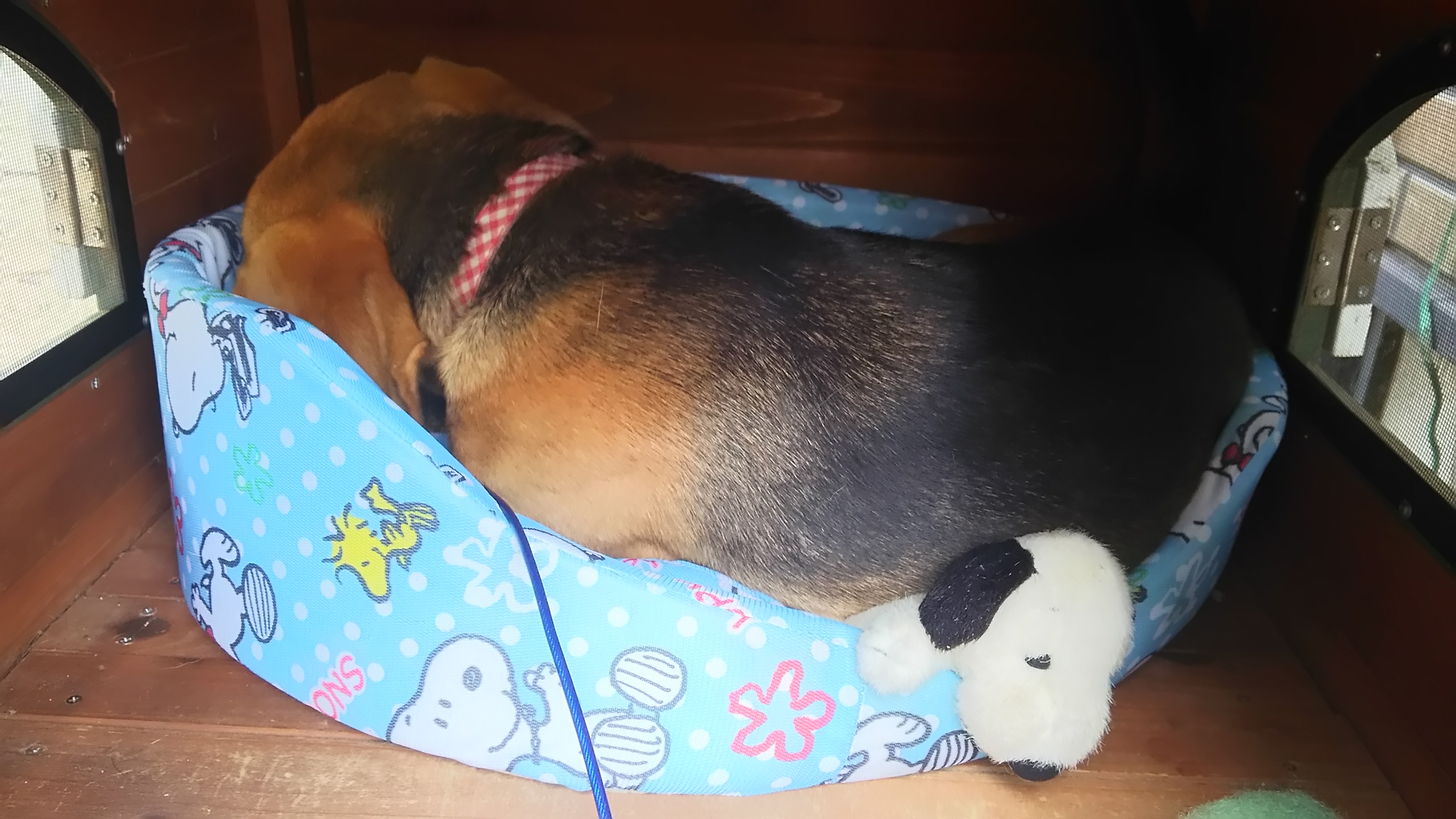 ファイル 970-3.jpg