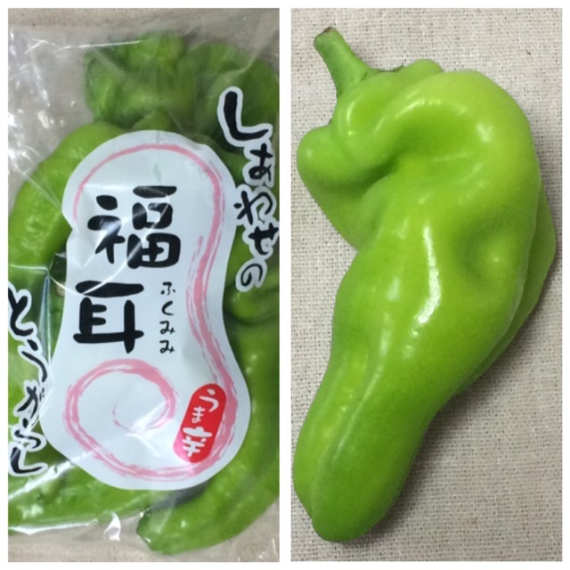 ファイル 975-1.jpg