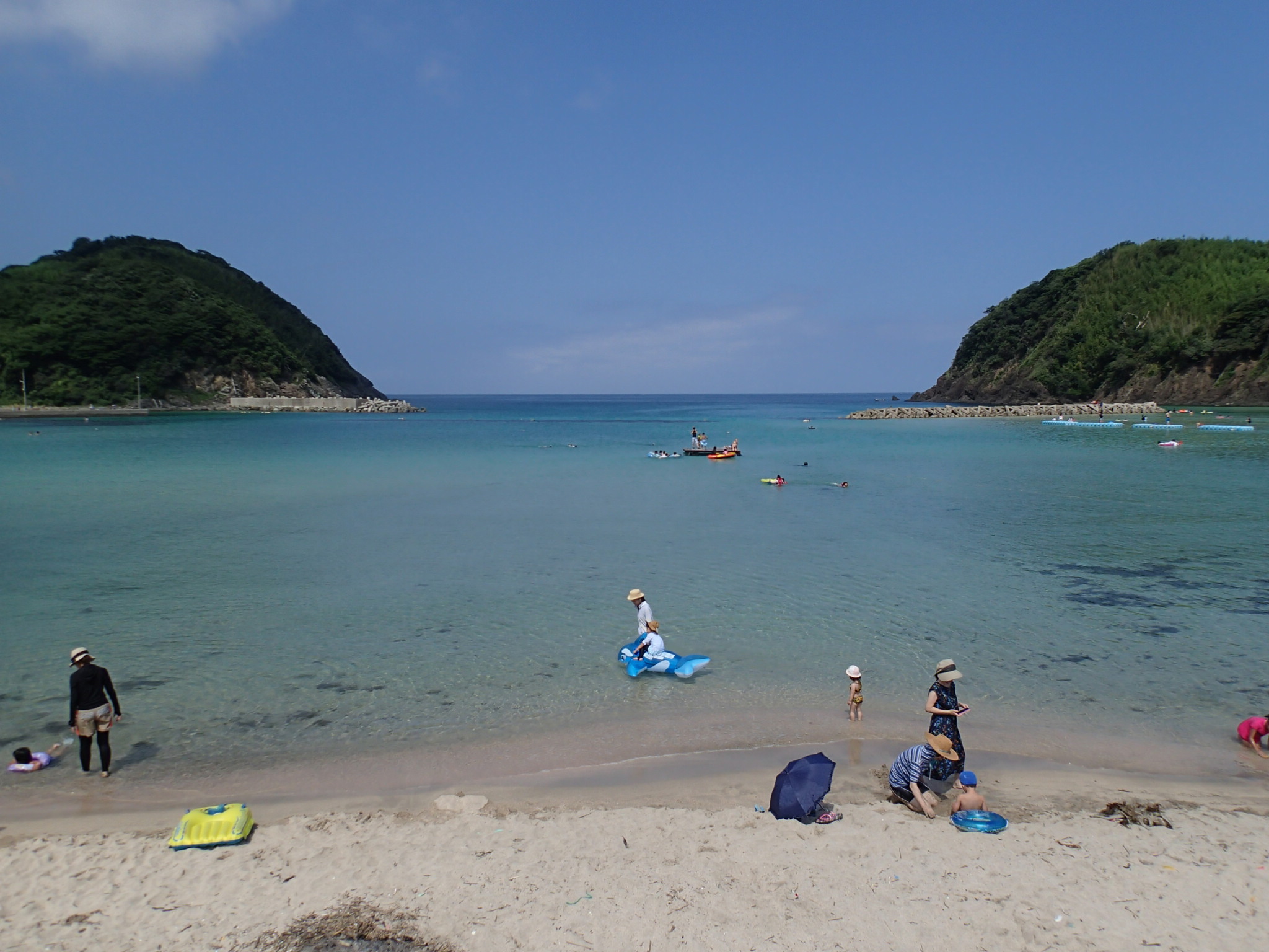 ファイル 981-1.jpg