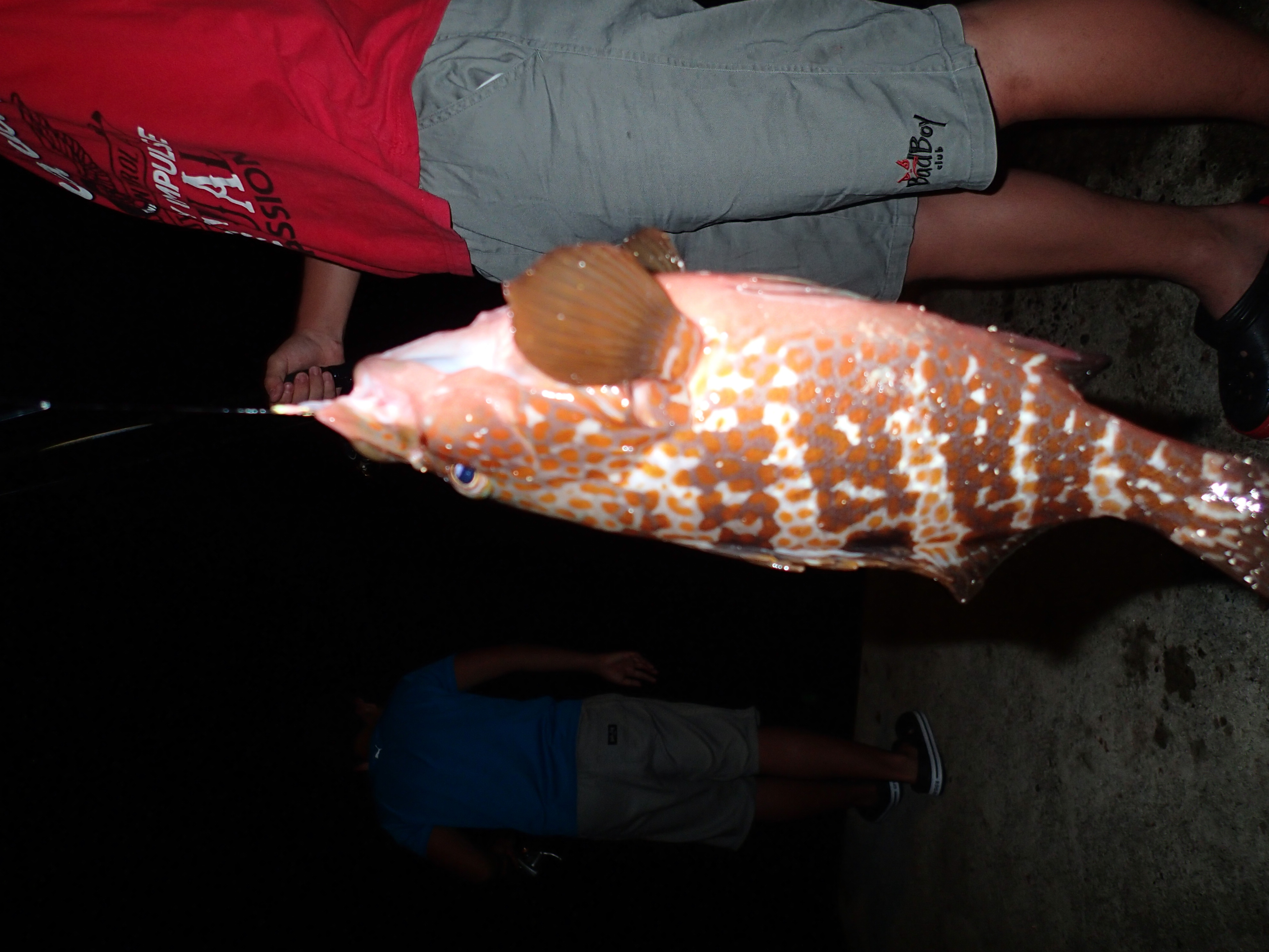 ファイル 982-1.jpg