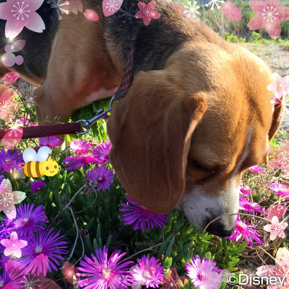 ファイル 994-1.jpg