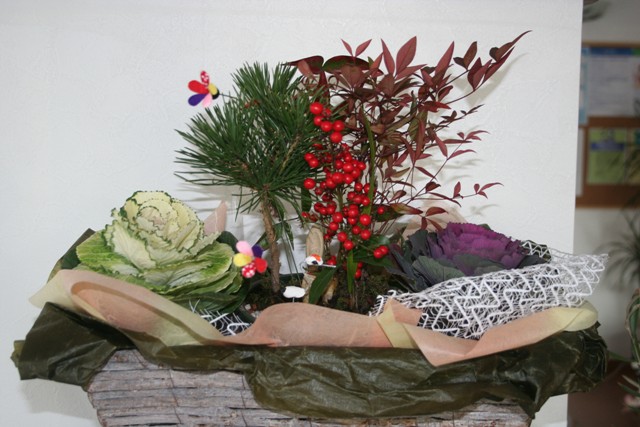 ファイル 13-1.jpg