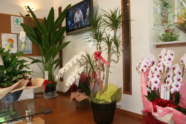 ファイル 2-3.jpg