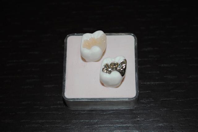 ファイル 22-3.jpg