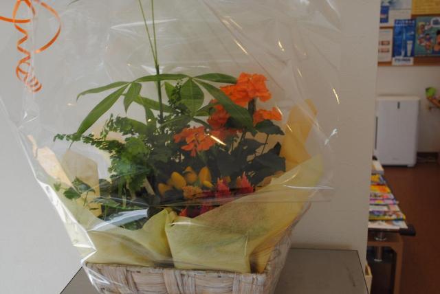 ファイル 24-4.jpg